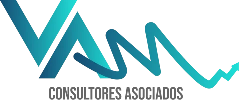 VAM Consultores Asociados